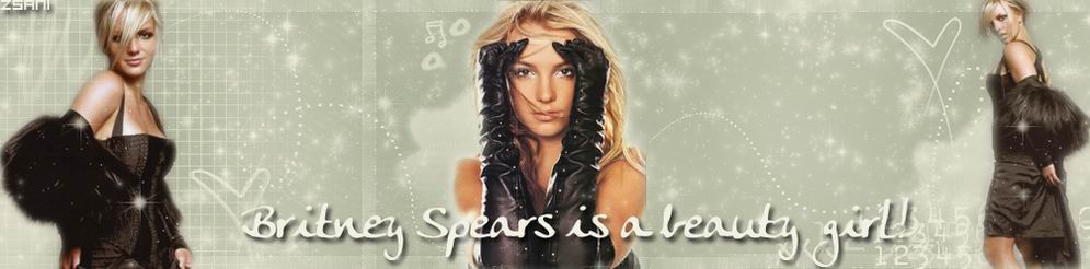 100% Britney Spears